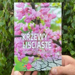 Krzewy liściaste na suche czasy